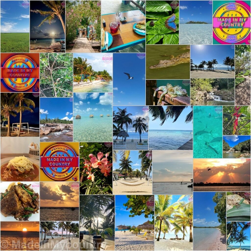 MadeinMycountry Miami (Mayaimi). MadeinMycountry is a global platform that celebrates and supports local history, culture, art, and nature conservation efforts. For two decades, we have been sponsoring local museums, cultural organizations, travel destinations, historical sites and various cultural events around the world.